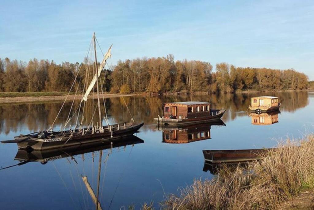 Gite La Gabare Entre Loire Et Chambord Vila Saint-Dye-sur-Loire Exterior foto